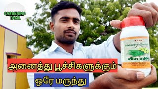 அனைத்து பூச்சி நோய்களுக்கு ஒரே மருந்து | Neem shakthi | Gardening tamil