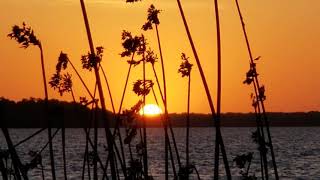 PERFECT SUNSET | Sunset View | Sunset Glow |The Serene Sunset