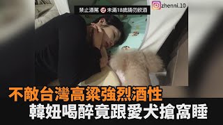 南韓家庭嗨喝台灣高粱酒！韓妞不敵強烈酒性　喝醉竟跟愛犬搶窩睡－全民話燒