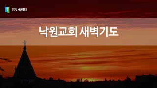 낙원교회 새벽예배 | 욥기 39:1-30 (2025.1.20)