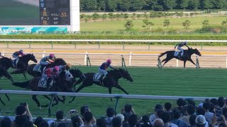 【現地】カゼノタニノアヤカ 3歳上1勝C (香港 ホー騎手 何澤堯 来日初勝利)