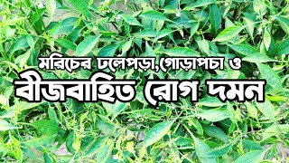 ঢলে পড়া,গোড়া পচা ও মরিচের বীজবাহিত রোগ দমনে বীজ শোধন, মাটি শোধন নিয়ে প্রাথমিক আলোচনা