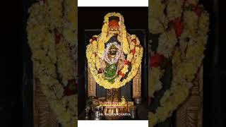 Shri PUTHIGE PARYAYA 03 Feb 2025.ಉಡುಪಿ ಶ್ರೀ ಕೃಷ್ಣದೇವರಿಗೆ ಶೇಷಛತ್ರ ಕೃಷ್ಣ ಅಲಂಕಾರ.SHESHACHATRA Alankara.