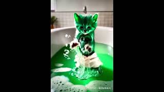 the green cat #greencatsplay #greencat #splash