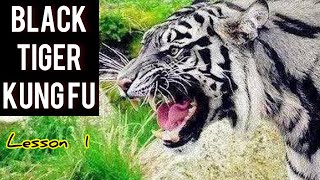 Black tiger Kung fu for beginners lesson 1 / step by step tutorial / 黑虎拳