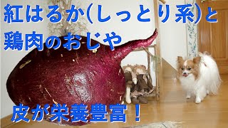 【17歳老犬の手作りごはん】紅はるか（しっとり系）と鶏肉のおじや