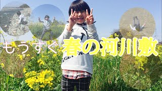 【菜の花畑】春の河川敷でお散歩🌼*･