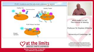 Professor Sir Stephen O'Rahilly - What makes us fat? The science of obesity - Full version