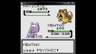 Youngster Joey's strongest Rattata (Raticate) in the world