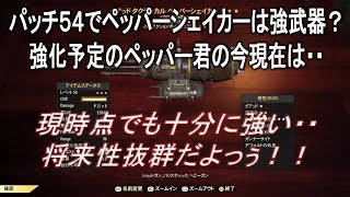 【dabadabajr】パッチ５４でペッパーシェイカーは強武器なのか？？大幅な強化予定のペッパー君の現在の実力とは【Fallout 76】【フォールアウト７６】