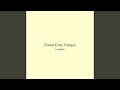 Forest Echo Tranquil