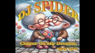 ויקי שקד Colour Of My Dreams 2025 DJ SPIDER REMIX