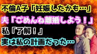 【修羅場な話】夫の彼女「妊娠した！」夫「彼女が妊娠したから離婚しよう！」私「了解！」→すべて私が仕組んだことだった… 【朗読】