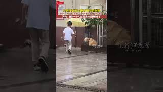 小男孩拿着伞跑向雨中的狗狗 妈妈：可能怕我阻止 一声不吭拿着伞就走了 狗狗：直到一个人出现 我的世界雨停了