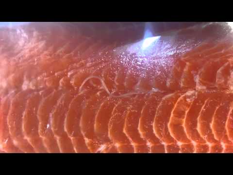 Are there worms in Salmon?