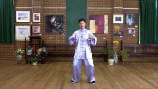 Tai Chi 24 Form Step by Step Instructions (Paragraph 4)