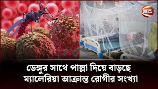 খাগড়াছড়িতে ভয়াবহ ডেঙ্গু-ম্যালেরিয়া পরিস্থিতি, কর্তৃপক্ষের অবহেলার অভিযোগ | Channel 24