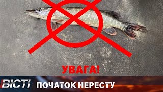 Щуку не ловити!