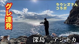 【爆釣】深島のアシナカはグレの宝庫！