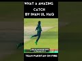 Amazing Catch By Imam Ul haq Surprised All Team #pakvsAus #imamulhaq #catch #cricket #status #shorts