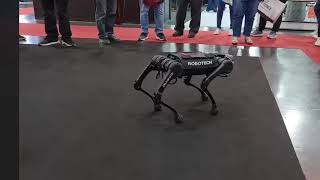 Unitree A1 robot dog #unitree #robot #robotics