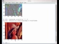 Image Processing with Python and mahotas, Lesson I: Loading & saving images