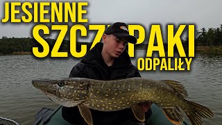 POJECHALIŚMY NA LOSOWE JEZIORO I PIĘKNIE POŁOWILIŚMY | TESTY NOWYCH GUM OD FISHUP | #vlog22