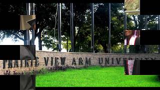 The Top HBCUs in Texas