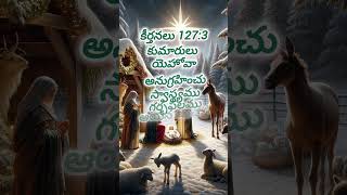 గర్భఫలం ఆయన ఇచ్చు బహుమానం#christmas #jesus #jesus