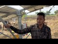 mira solar pump reaction 🔥 reaction on solar pump