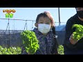 知ろう！食べよう！いちかわの野菜　～野菜の王様編～