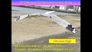 サーボ駆動カモメ型羽ばたき機 ServoFlapOrnithopterSeagull100 32g with New Articulated wing system: 14th Good Flight