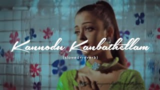 Kannodu Kanbathellam (slowed+reverb) || Jeans || A.R Rahman || Lofi Beatz