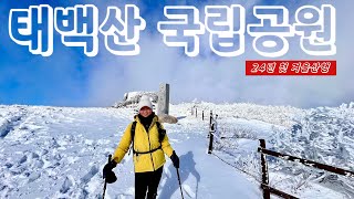 태백산/24년 첫 겨울산행/겨울산행의 성지/유일사코스/장군봉/천제단/눈꽃상고대와 함께 겨울산행 시작합니다/