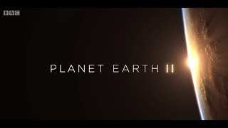 Planet Earth II Theme (BBC - Hans Zimmer)
