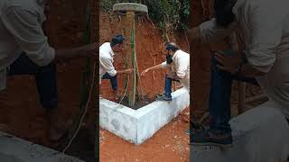 എളുപ്പത്തിൽ എങ്ങനെ ഡ്രാഗൺ ഫ്രൂട്ട് നടാം | how to plant dragon fruit easily | real life #dragonfruit