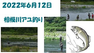 ２０２２年６月１２日　相模川のアユ釣り解禁から１２日ほど経過した様子です。