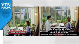 넷플릭스, '일본해' 표기 논란에 불어 자막 '동해'로 수정 / YTN