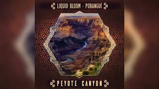 Liquid Bloom \u0026 Poranguí - Peyote Canyon (Uone's Phantom Whistler Remix)