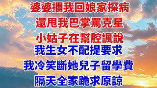 婆婆攔我回娘家探病，還甩我巴掌罵克星！小姑子在幫腔諷說，我生女不配提要求！我冷笑斷她兒子留學費，隔天全家跪求原諒【藝一講故事】 #婆媳#故事#情感故事#有聲書#婆媳