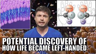 Accidental Breakthrough on Origins of Life: Why Are All Proteins Left-Handed?