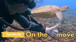 Moving West through French Polynesia | Tahiti to Huahine Ep 66 Moorea