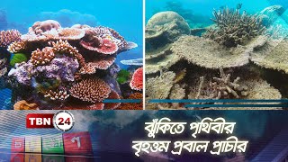 ঝুঁকিতে পৃথিবীর বৃহত্তম প্রবাল প্রাচীর | Great Barrier Reef | TBN24 CK EP-145.2