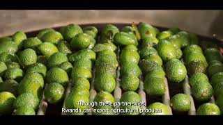 The secret behind all Rwanda’s agri-exports