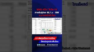 WHO หวั่น! โควิด-19 สายพันธุ์ย่อย BQ.1.x - XBB ระบาดหนักทั่วโลก