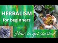 Herbalism for beginners - How to get started