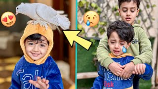 جود يبكي على حمامة أكلتها البزونة💔🤕| عوضته😍