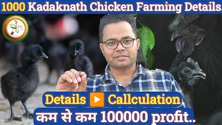 1000 Kadaknath Chicken Farming Details || 1000 Kadaknath मुर्गी पालन की पूरी जानकारी || Profit ??