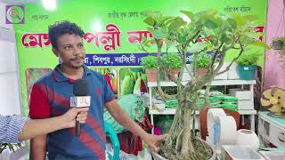 ৩০০ থেকে লক্ষ টাকায় বনসাই গাছ পাওয়া যাচ্ছে এবারের বৃক্ষ মেলায় | Zoombangla | Bonsi Trees