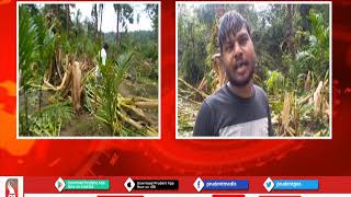 CROPS DESTROYED IN FLOODS; FARMERS ALONG MHADEI RIVER CRY FOR HELP_Prudent Media Goa